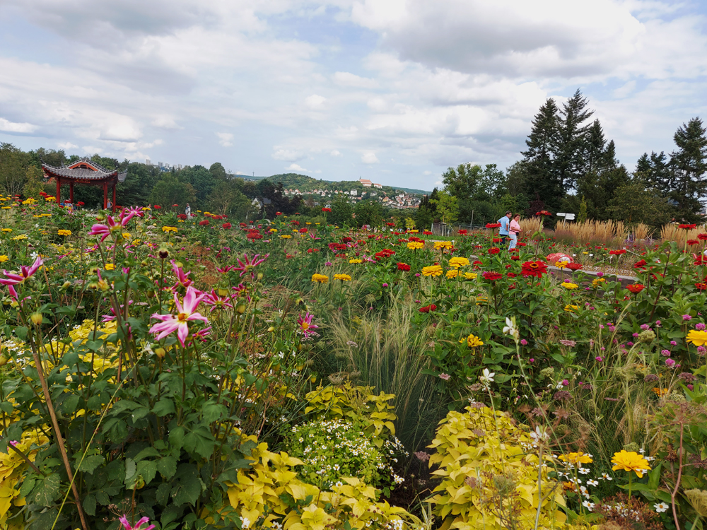 Fulda Landesgartenschau